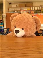 OctoBEAR 2014 